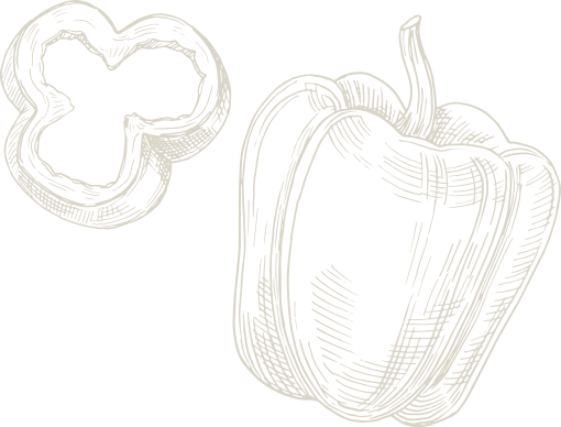 narmadeshwar-global.in