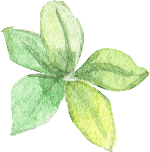 narmadeshwar-global.in